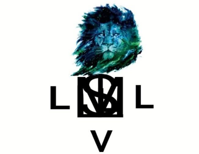 lvlbolivia.com